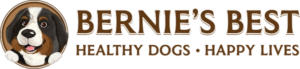 Bernie’s Best
