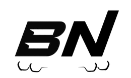 Bimmer Network logo