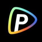 Pollo Ai logo