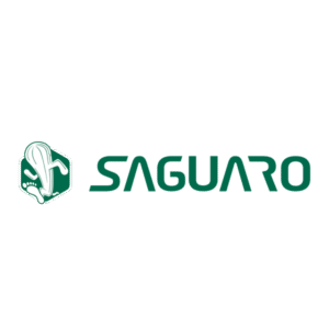 Saguaro Shoes