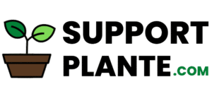 Support Plante