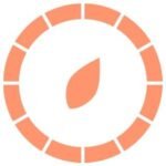 Voyager Life logo