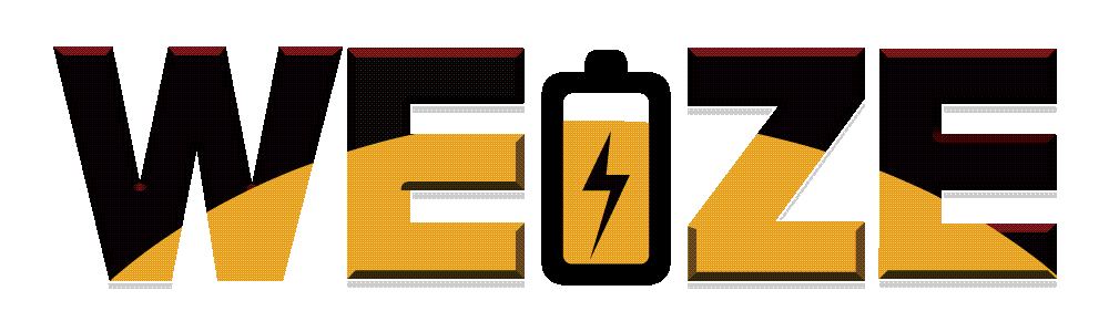 WEIZE logo