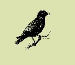 J Crow’s