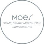 Moes logo